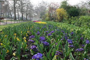 day, England, eye level view, flower, flower field, London, lowered, park, spring, sunny, The United Kingdom