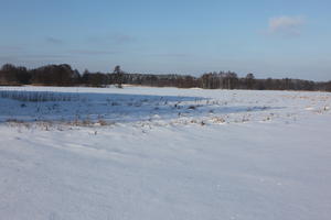 afternoon, bright, day, eye level view, field, open space, Poland, snow, sunny, Wielkopolskie, winter