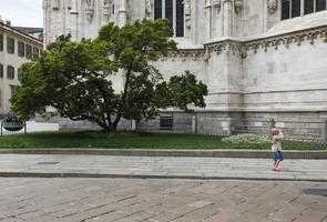 broad-leaf tree, broad-leaved tree, day, eye level view, Italia , Lombardia, Milano, natural light, pavement, summer, tree