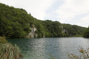 Croatia, day, diffuse, diffused light, eye level view, Karlovacka, lake, natural light, reed, summer, woodland