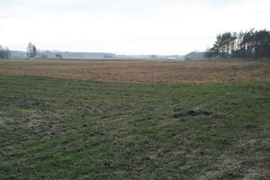 day, eye level view, field, grass, grassland, Kopanica, natural light, Poland, Wielkopolskie, winter