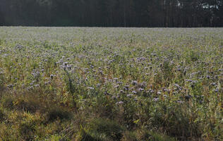 Poland, Wielkopolskie