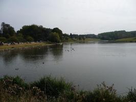 afternoon, day, elevated, England, natural light, park, pond, summer, sunny, The United Kingdom, vegetation