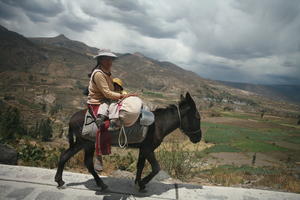 Arequipa, Arequipa, autumn, child, day, donkey, eye level view, latino, natural light, Peru, sitting, sunny, valley, woman