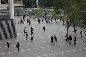 above, asian, day, elevated, Fukuoka, Fukuoka, group, Japan, natural light, people, spring, square, tree