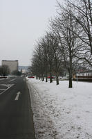 deciduous, diffuse, diffused light, eye level view, Most, natural light, outdoor lighting, overcast, road, snow, The Czech Republic, tree, treeline, Ustecky Kraj, winter