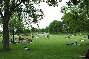 day, England, eye level view, grass, Hyde Park, London, multiracial, overcast, park, people, spring, The United Kingdom, tree, vegetation