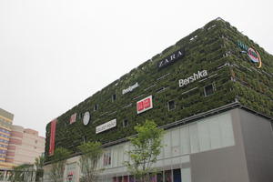 ambient light, below, building, day, diffuse, diffused light, Fukuoka, Fukuoka, hanging, Japan, natural light, overcast, plant, sign, spring