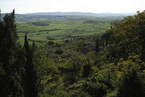 afternoon, cypress, day, elevated, evergreen, greenery, Italia , Siena, spring, sunny, Toscana, tree, valley