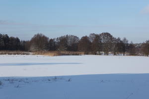 afternoon, bright, day, eye level view, field, Poland, shady, snow, sunny, treeline, Wielkopolskie, winter, woodland