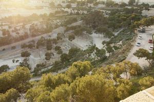 Alicante, dusk, elevated, park, Spain, tree, Valenciana, vegetation