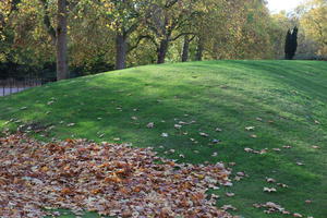 afternoon, autumn, day, England, eye level view, grass, leaf, London, park, sunny, The United Kingdom, tree