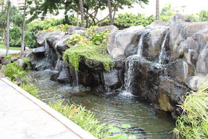 bush, day, diffuse, diffused light, eye level view, Hawaii, natural light, pond, shrub, summer, The United States, tropical, waterfall