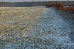 Poland, Wielkopolskie