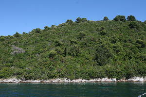 coastline, Croatia, Croatia, day, eye level view, hill, seascape, sunny, tree, vegetation