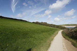 autumn, day, England, eye level view, grass, path, sunny, The United Kingdom