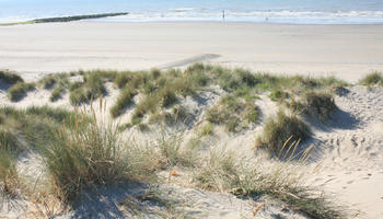 beach, Belgium, day, dunes, elevated, grass, summer, sunny