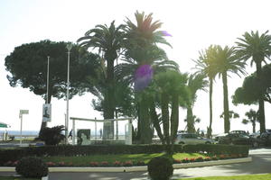 beach, bus stop, Cannes, day, eye level view, flower, France, garden, palm, promenade, Provence Alpes Cote D