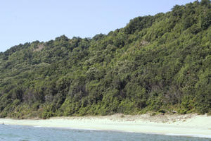 beach, Bulgaria, Burgas, day, Emona, eye level view, summer, sunny, woodland