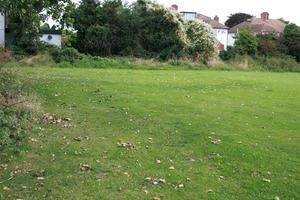 day, England, eye level view, field, grass, London, natural light, The United Kingdom, vegetation