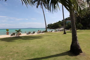 beach, day, eye level view, Ko Phi Phi Don, Krabi, natural light, palm, potted plant, sunbed, sunny, Thailand, tree, vegetation