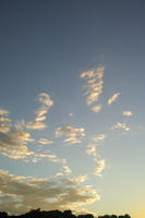 afternoon, autumn, cloud, cloudy, Cumulus, day, eye level view, natural light, open space, sky