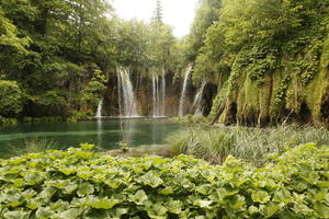 Croatia, day, diffuse, diffused light, eye level view, Karlovacka, lake, natural light, plant, shrub, summer, waterfall