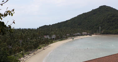 beach, canopy, day, elevated, Ko Phi Phi Don, Krabi, natural light, palm, roof, Thailand, tree, vegetation