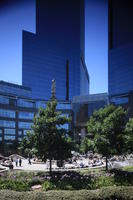 building, day, facade, glass, Manhattan, New York, park, skyscraper, sunny, The United States, tree, vegetation