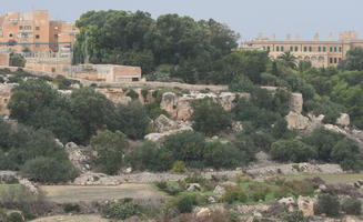 autumn, bush, day, diffuse, diffused light, elevated, Malta, overcast, shrub, shrubland