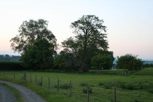 countryside, dusk, eye level view, field, grass, natural light, road, summer, The United Kingdom, tree, vegetation, Wales