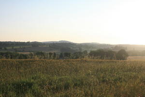 clear, crop, day, dusk, eye level view, field, France, golden hour, haze, plant, sky, summer