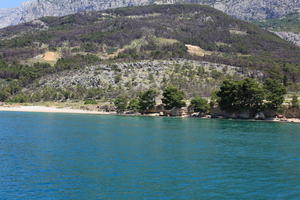 beach, coastline, Croatia, day, eye level view, Makarska, seascape, Splitsko-Dalmatinska, summer, tree, vegetation