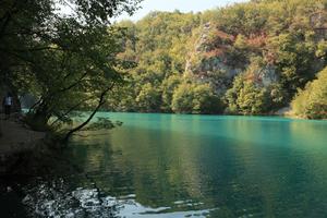 Croatia, day, eye level view, forest, Karlovacka, lake, sunny, tree, vegetation