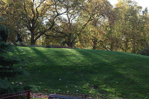 afternoon, autumn, Battersea park, day, England, eye level view, grass, leaf, London, park, sunny, The United Kingdom, tree