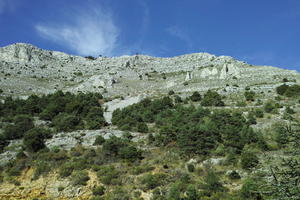 autumn, below, bright, cliffs, day, forest, France, mountain, Provence Alpes Cote D