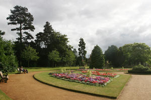 Abingdon, day, England, eye level view, flower, flowering, garden, natural light, park, summer, sunny, The United Kingdom, tree, treeline