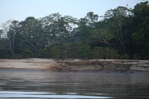 Brunei, day, diffuse, diffused light, eye level view, forest, natural light, river, summer, treeline, tropical