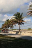 day, eye level view, Florida, Miami, natural light, palm, park, sunny, The United States, tropical, vegetation, winter