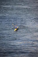 day, diffuse, diffused light, elevated, male, man, Porto, Porto, Portugal, river, rowing, sailing, spring