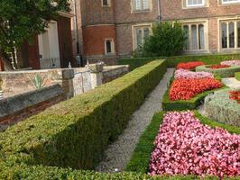 afternoon, bush, day, England, eye level view, flower, garden, hedge, natural light, park, plant, summer, sunny, The United Kingdom