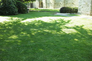 day, England, eye level view, grass, lawn, park, Romsey, sunny, The United Kingdom