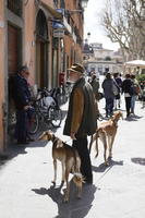 casual, day, dog, elderly, eye level view, group, man, people, side, spring, standing, street, sunny, walking