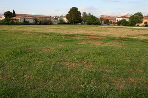 Croatia, day, eye level view, grass, Istarska, lawn, spring, vegetation