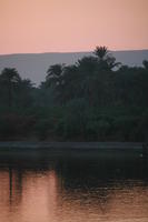 dusk, East Timor, Egypt, Egypt, eye level view, palm, river, river Nile, tree