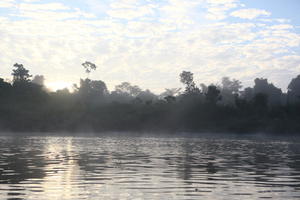 Brunei, day, diffuse, diffused light, eye level view, fog, forest, natural light, river, summer, treeline, tropical