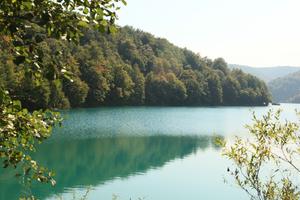 Croatia, day, eye level view, forest, Karlovacka, lake, mountain, sunny, tree, vegetation