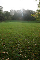 autumn, day, England, eye level view, grass, leaves, London, park, sun glare, sunny, The United Kingdom