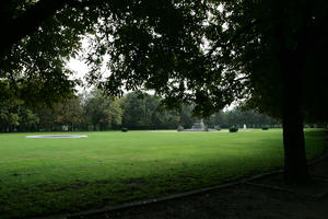 afternoon, Braunschweig, day, Deutschland, eye level view, grass, natural light, Niedersachsen, park, summer, tree, vegetation