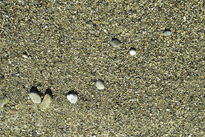 above, Antibes, close-up, day, France, nature, outdoor lighting, pebble, Provence Alpes Cote D